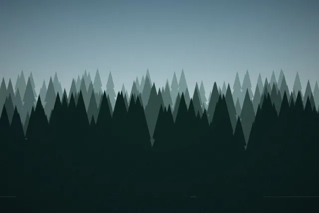 Illustration: Rows of dark pine trees fading into mist