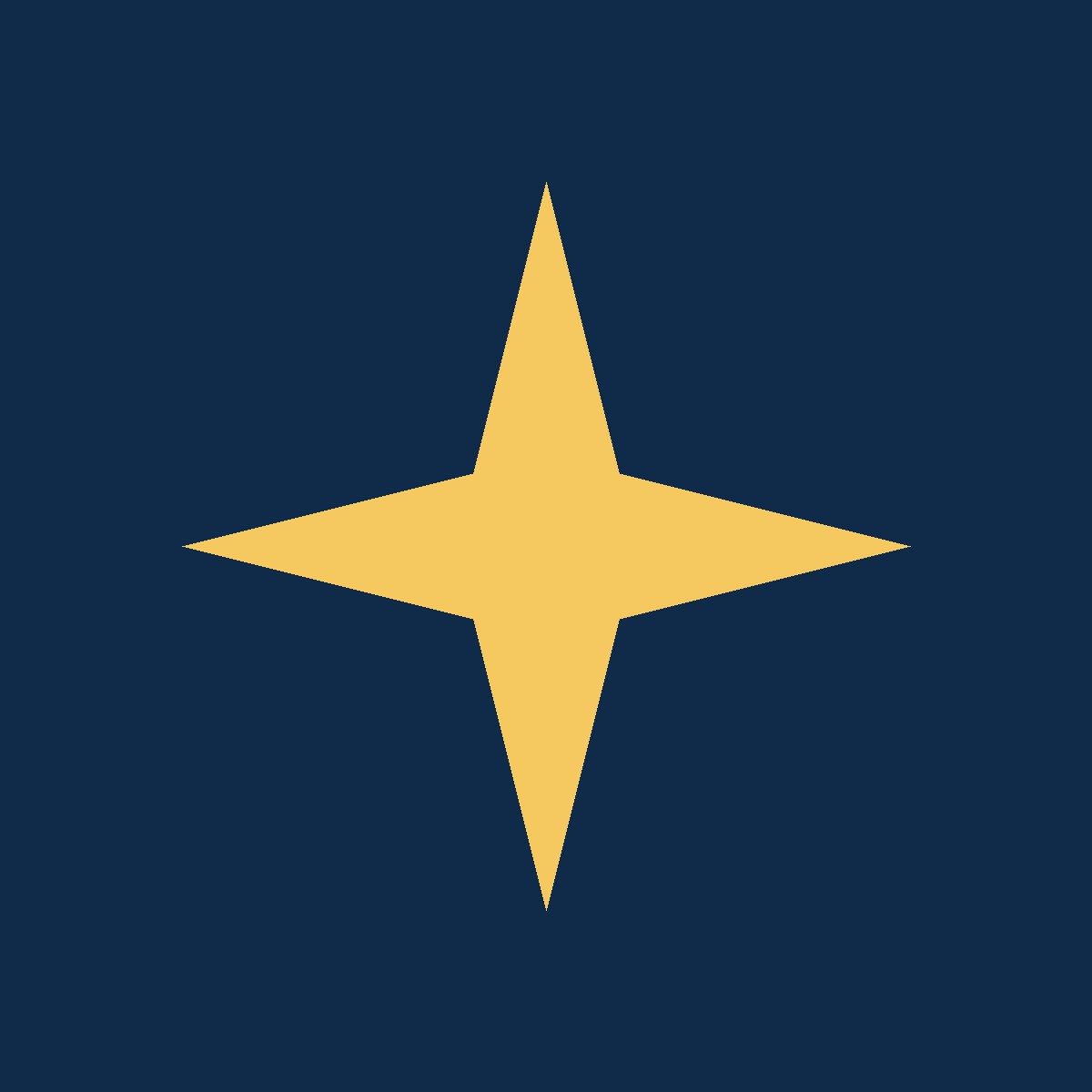 Illustrated logo mark for Northlight Expeditions, a fictional brand